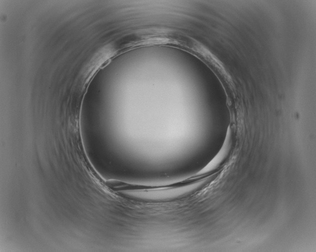 X0000068811193200605051137
