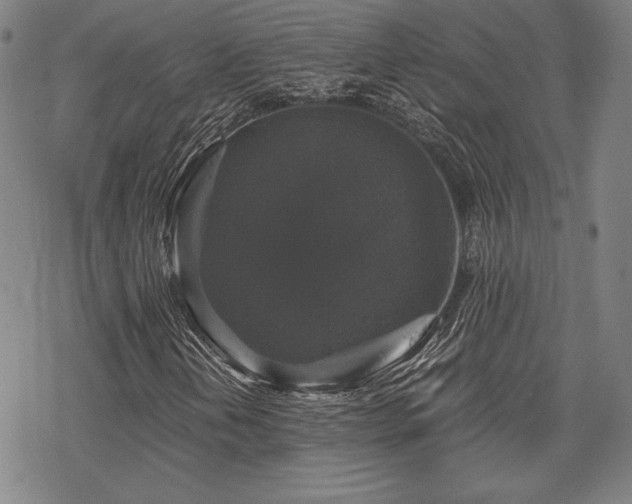 X0000068811202200605051136
