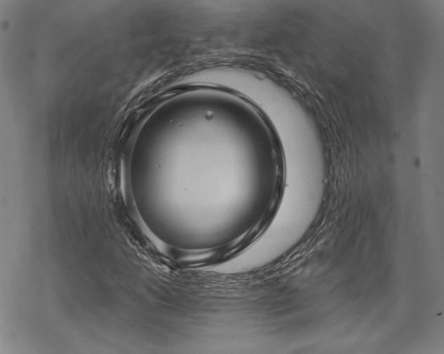 X0000068811206200605051136