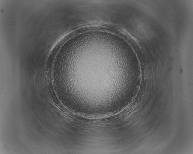 X0000068811208200605051136