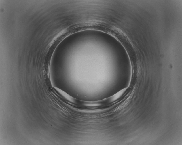X0000068811210200605051136