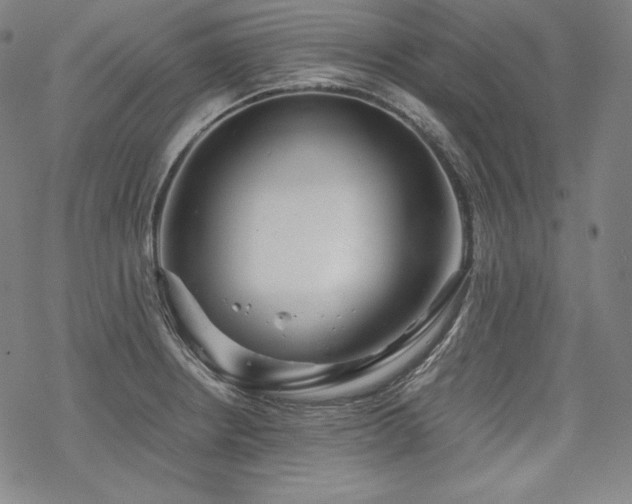 X0000068811234200605051137