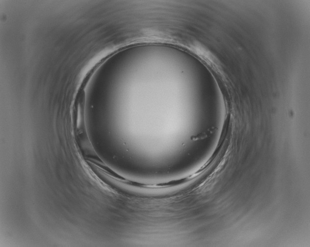 X0000068811238200605051137