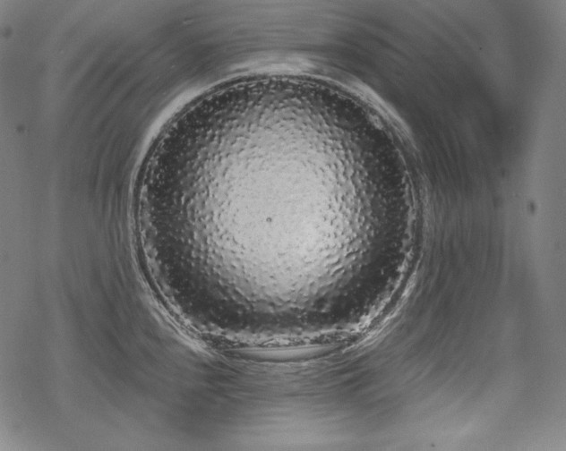 X0000068811240200605051137