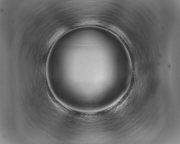 X0000068811241200605051137