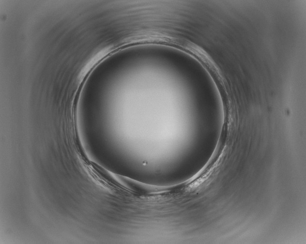 X0000068811242200605051137
