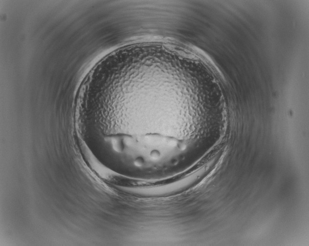 X0000068811244200605051137