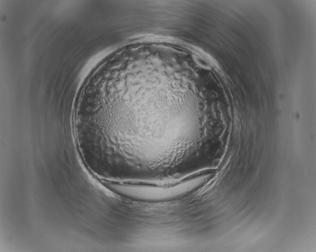 X0000068811247200605051137