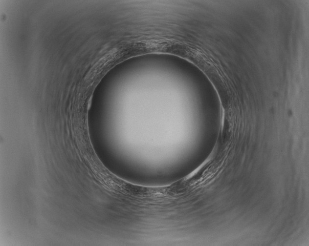 X0000068811249200605051136