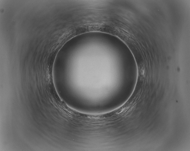 X0000068811252200605051136