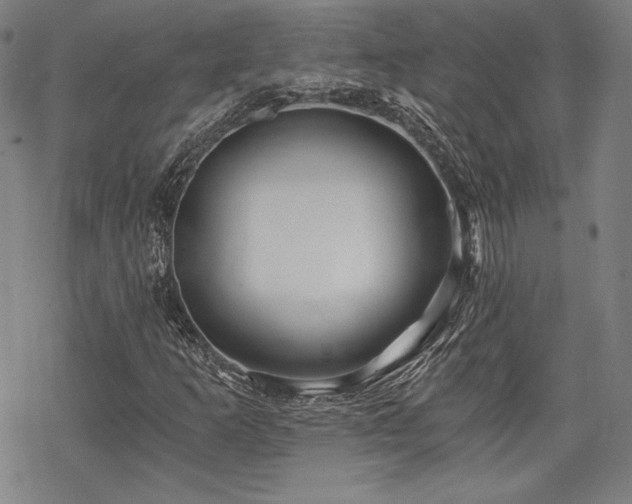 X0000068811253200605051136