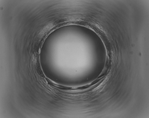 X0000068811257200605051136