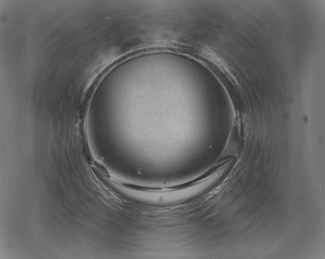 X0000068811260200605051136