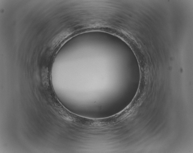 X0000068811265200605051136