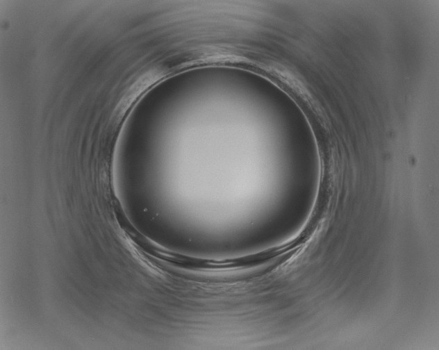X0000068811281200605051136