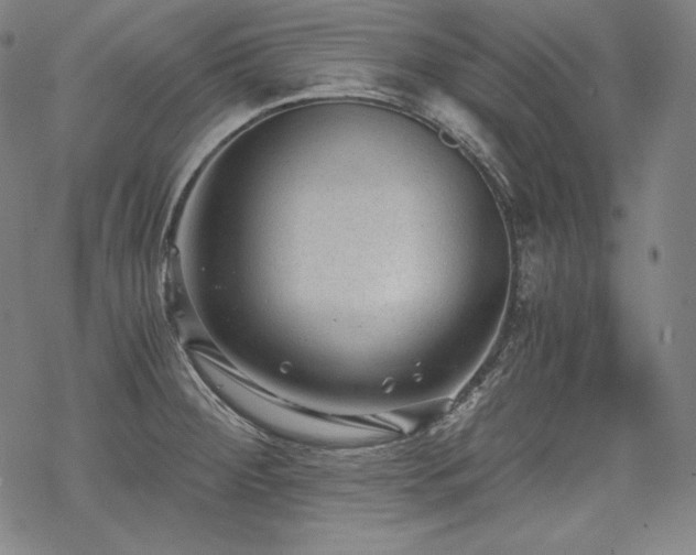 X0000068811284200605051136