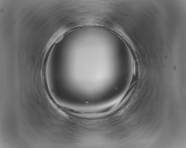 X0000068811293200605051135