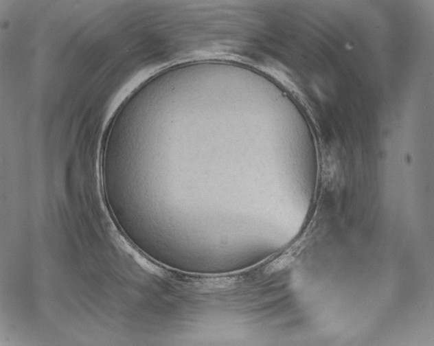 X0000068811294200605051135