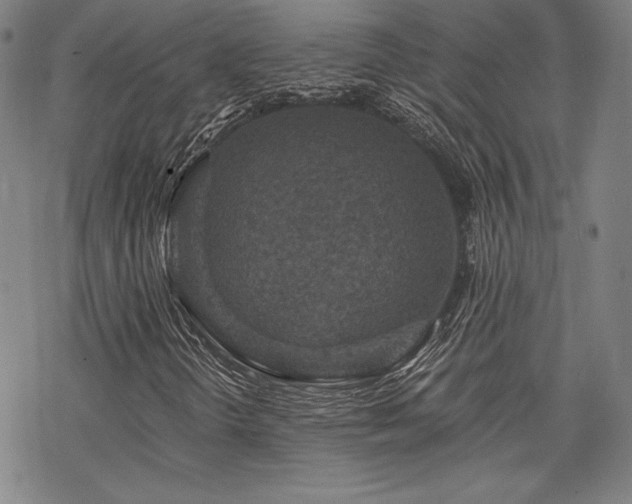 X0000068811298200605051134