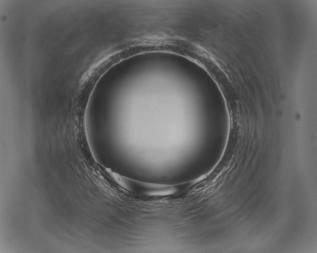 X0000068811304200605051135