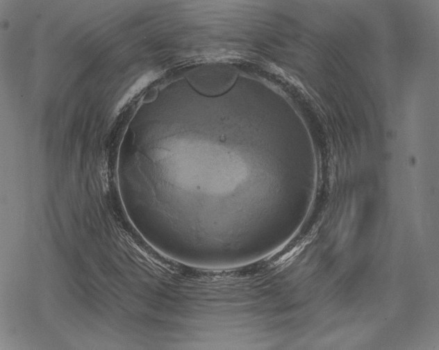 X0000068811306200605051135