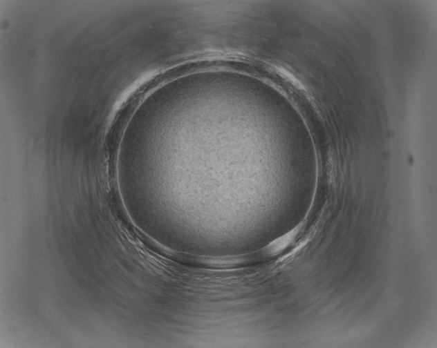 X0000068811310200605051135