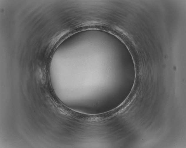 X0000068811313200605051135