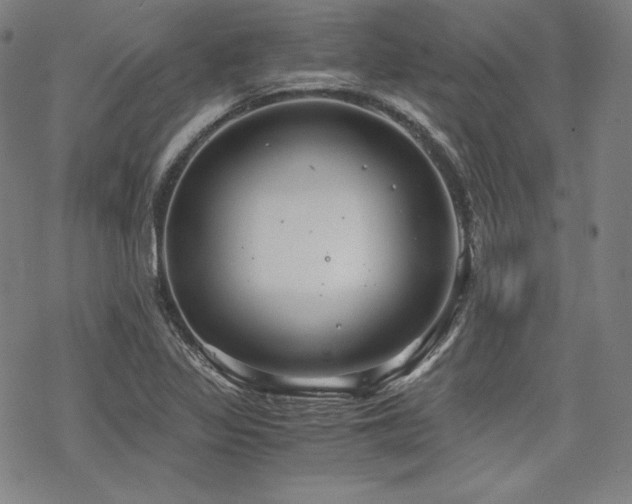 X0000068811317200605051135
