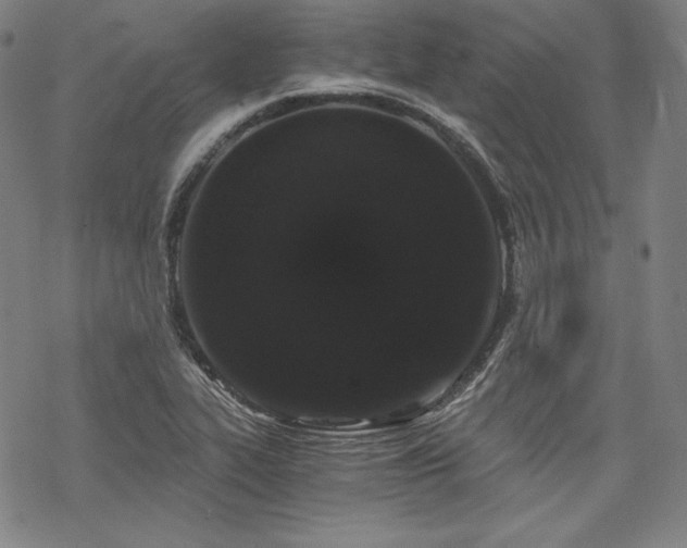 X0000068811319200605051135