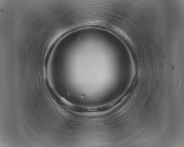 X0000068811324200605051135
