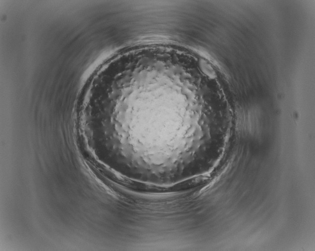X0000068811325200605051135