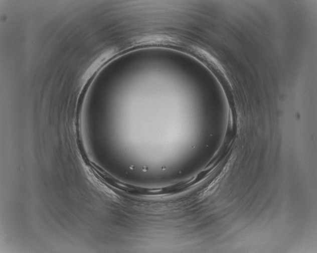 X0000068811330200605051135