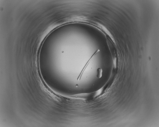 X0000068811339200605051135