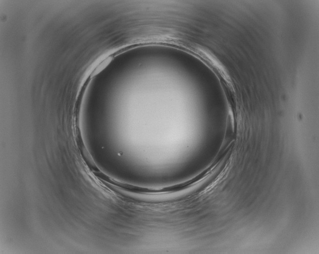 X0000068811340200605051135