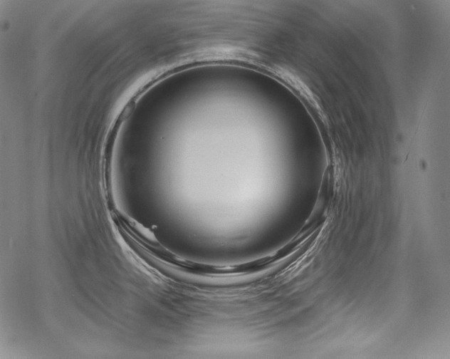 X0000068811342200605051135