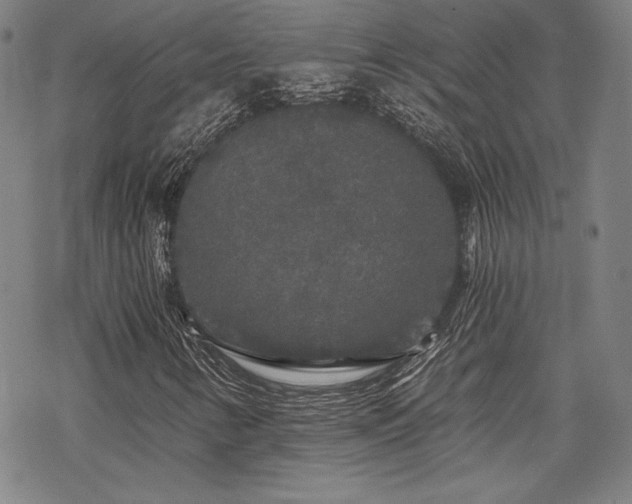 X0000068811346200605051134