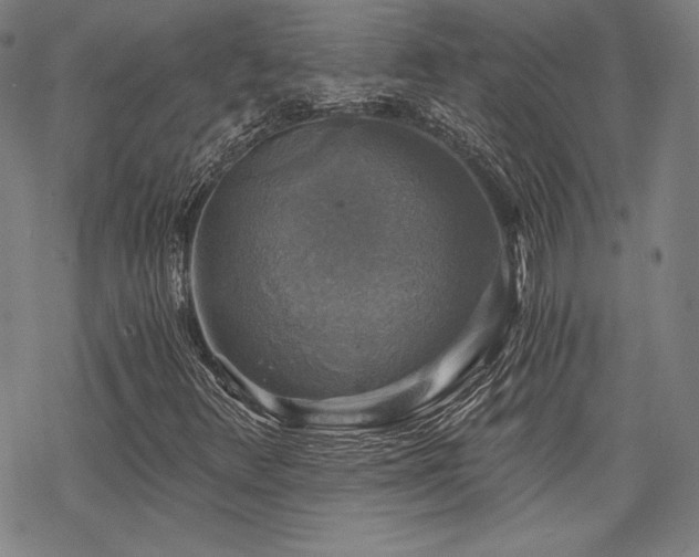 X0000068811348200605051134