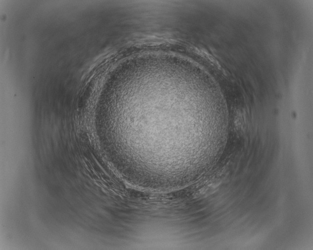 X0000068811350200605051134