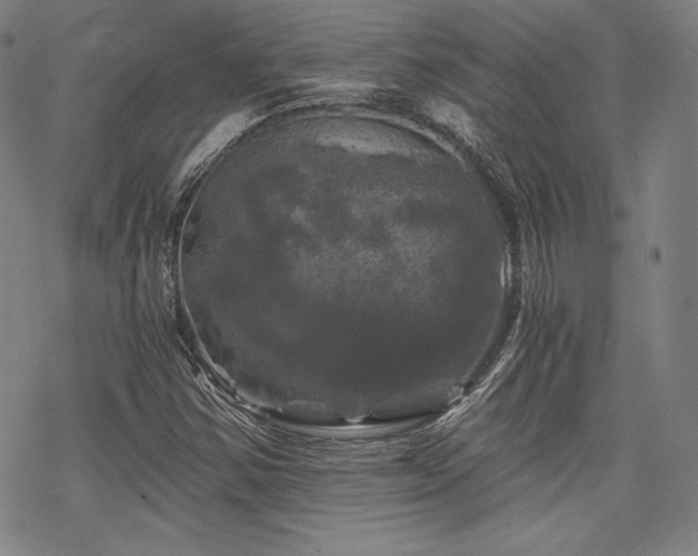 X0000068811354200605051134
