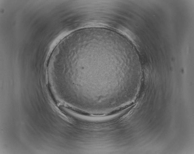 X0000068811371200605051134
