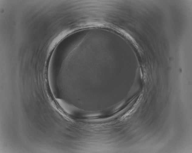 X0000068811373200605051134
