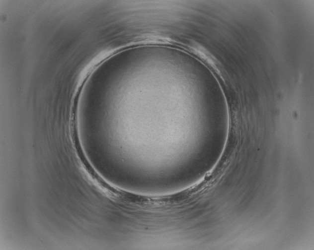 X0000068811379200605051134
