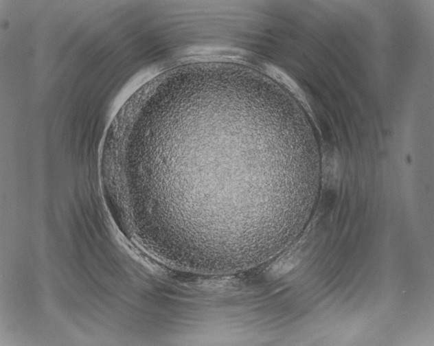 X0000068811386200605051134