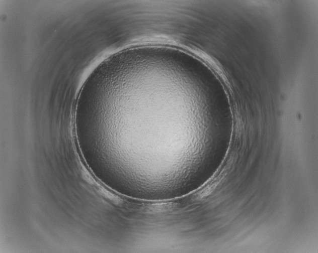 X0000068811390200605051134