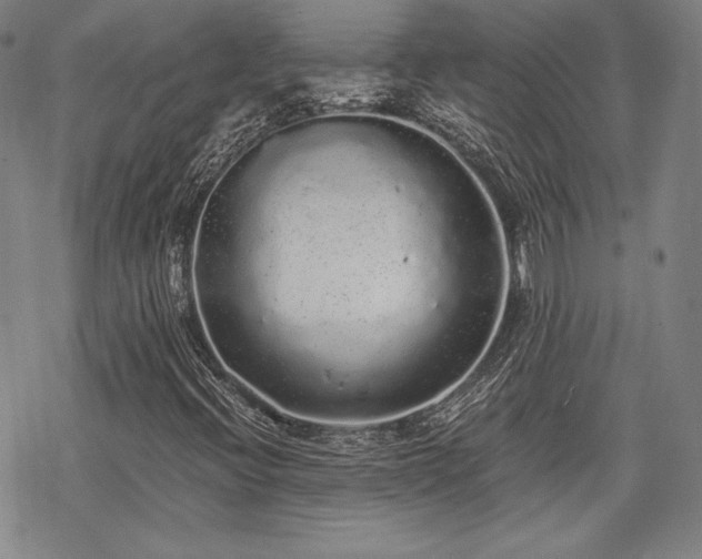 X0000068811396200605051133