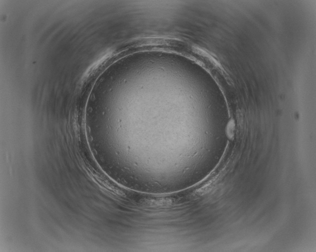 X0000068811403200605051133