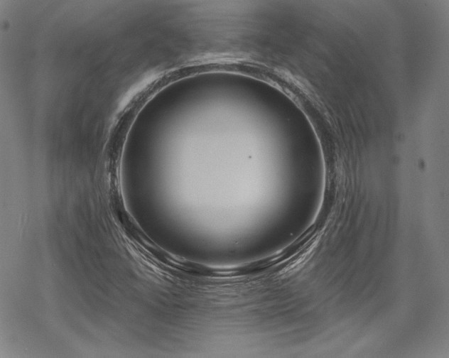 X0000068811406200605051133
