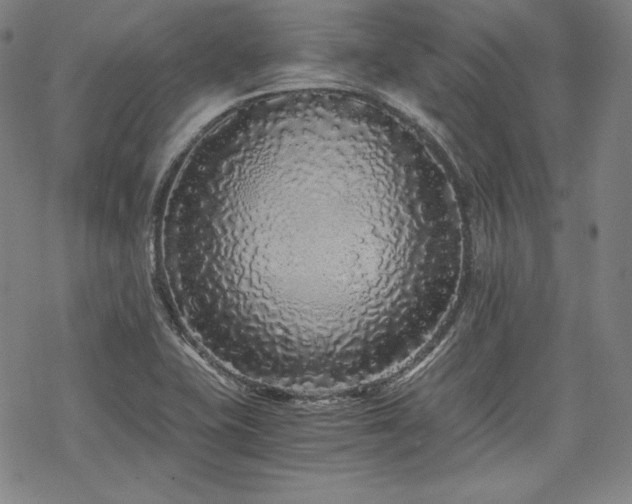 X0000068811415200605051133