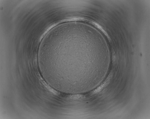 X0000068811417200605051133