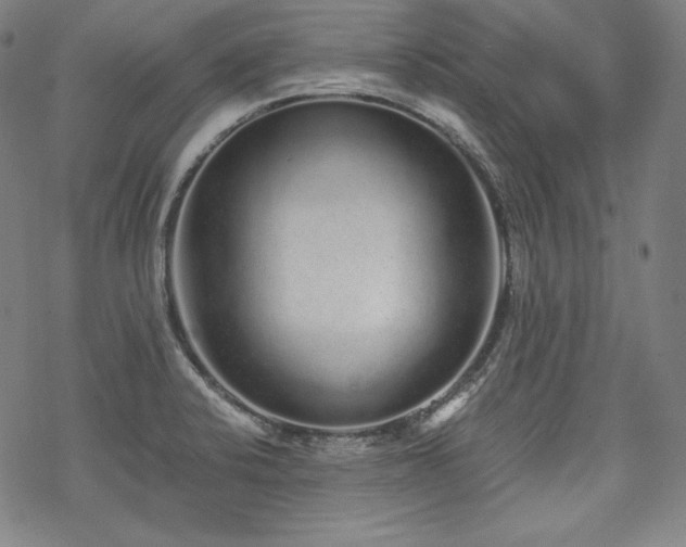 X0000068811424200605051133